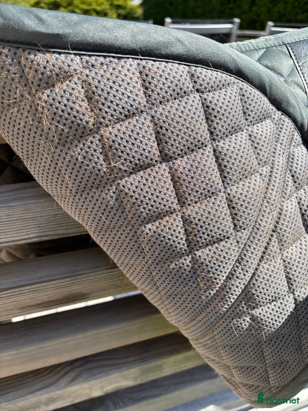 Schabrak & Vojlockar hästutrustning till salu: Equestrian Stockholm schabrak  i Norrköping - Annons 2