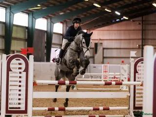 hästar Vacker hopphäst med stor kapacitet till salu - Annons 12