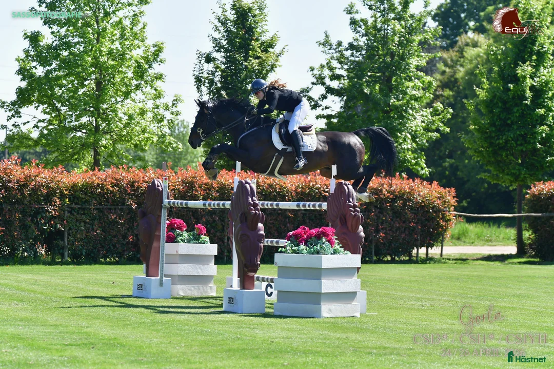  hästjobb finnes: Norway • Italy • Spain • Horses • Shows • Travel🐴 - Annons 2