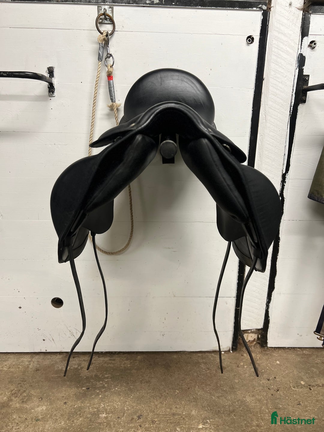 Sadlar hästutrustning till salu: Tölthester Eldon  i Åkersberga - Annons 4