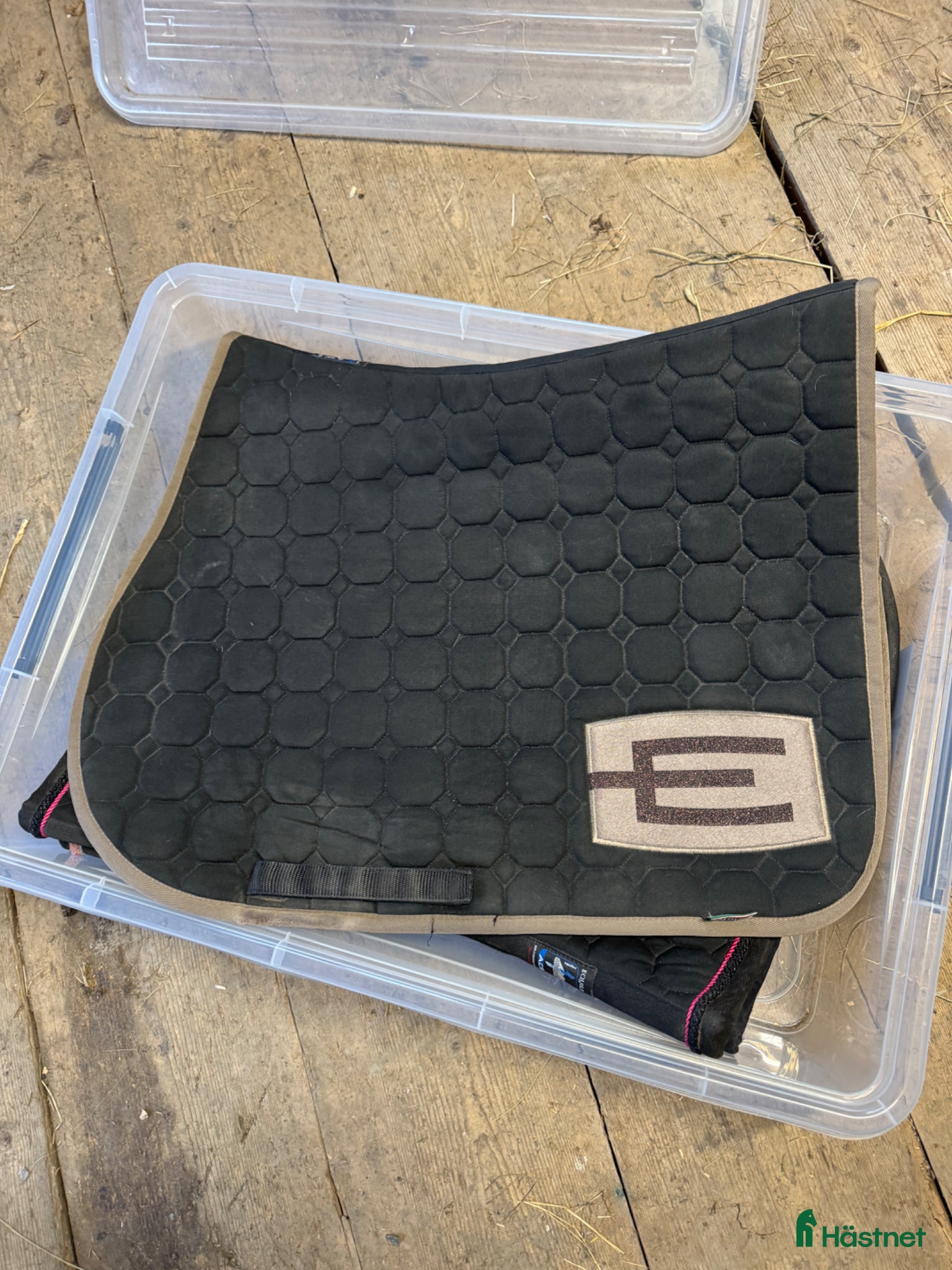 Schabrak & Vojlockar hästutrustning Fint Equiline set - Annons 8