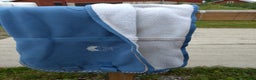 Täcken hästutrustning till salu: Täcken i Fellingsbro - Annons 3