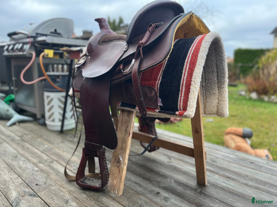 Sadlar hästutrustning till salu: Wester  sadeln  i Älmhult - Annons 3