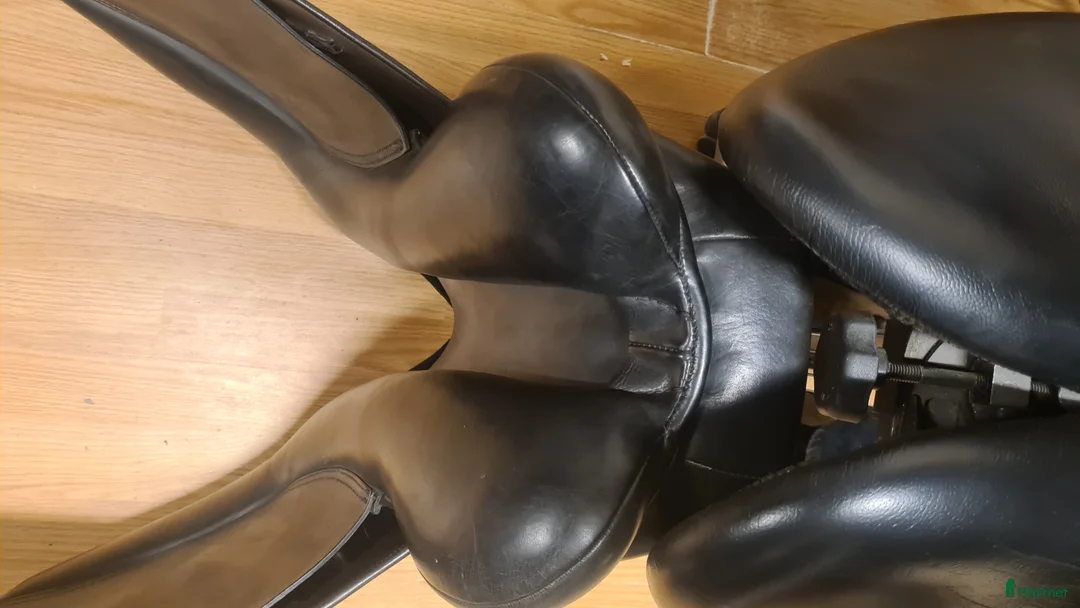 Sadlar hästutrustning till salu: Santa Cruz i Hamneda - Annons 5