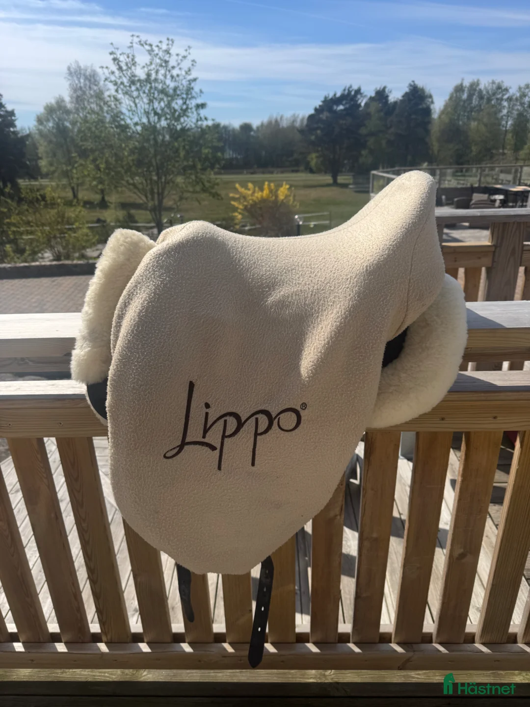 Sadlar hästutrustning till salu: Lippo Azzario 17,5 MW - Annons 1