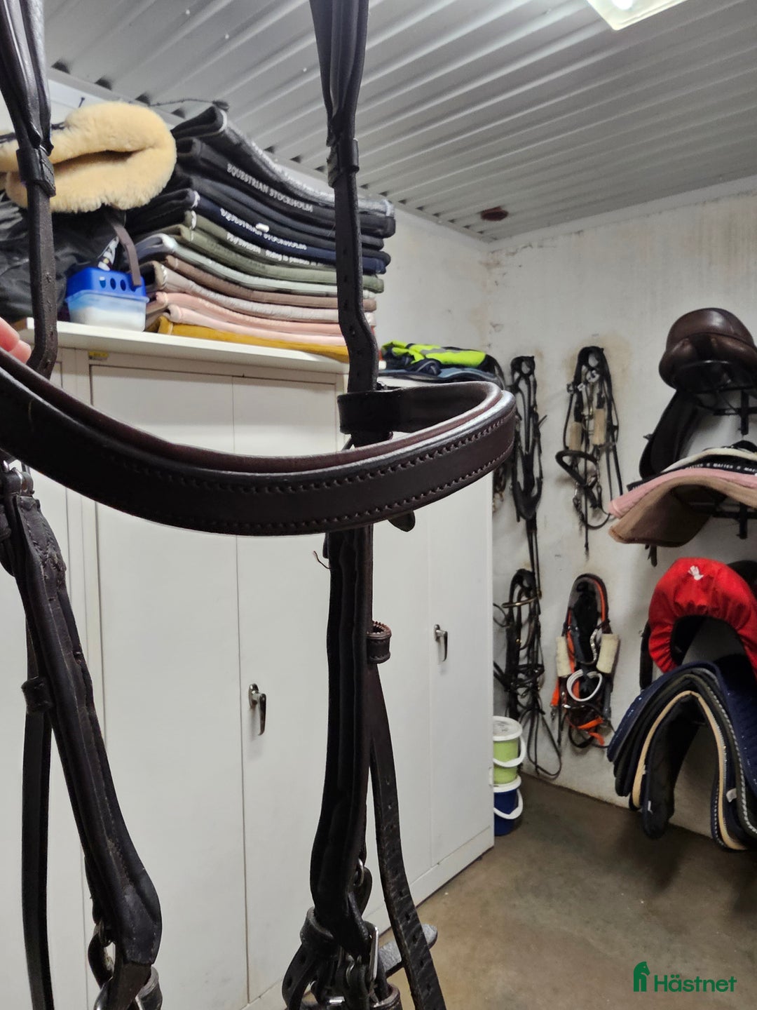 Träns hästutrustning till salu: Fint begagnat King Edward träns i brunt i Harplinge - Annons 4