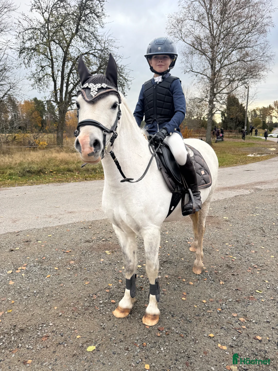 Allround hästar till salu: Supersöt B-ponny till verksamhet/tävling - Annons 1