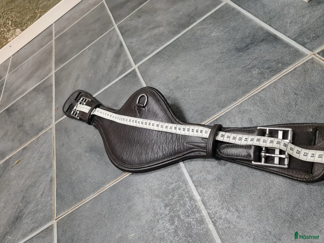 Sadeltillbehör hästutrustning till salu: Dressyrgjord - Annons 3