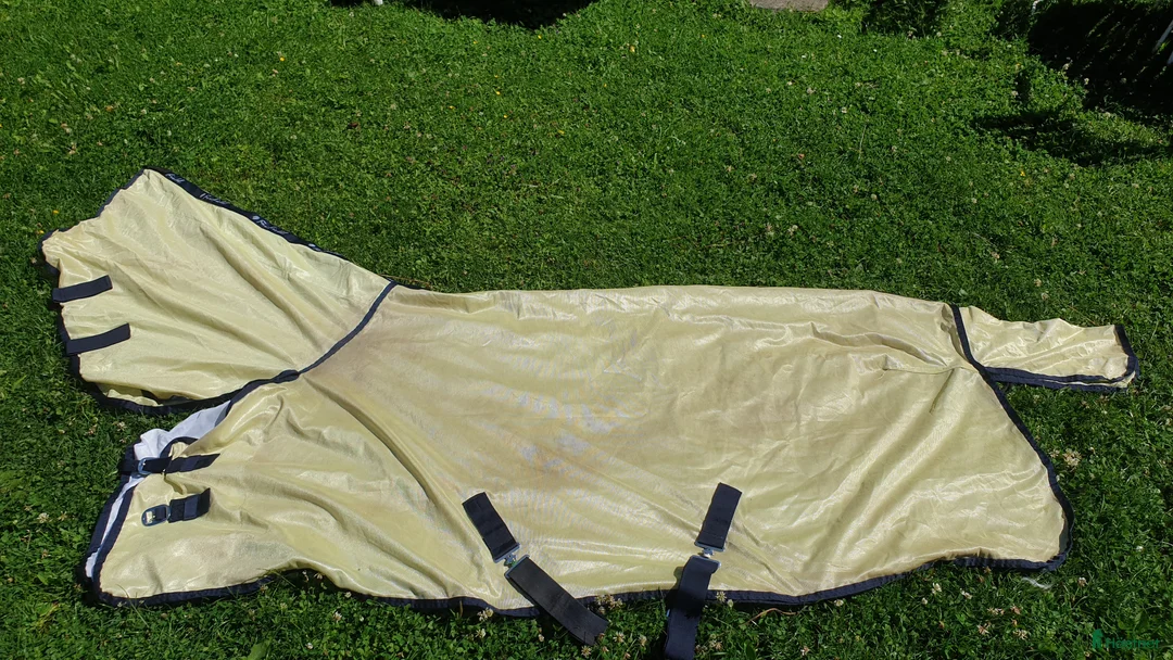 Övrig Hästutrustning hästutrustning till salu: Hästsaker i Skeppshult - Annons 15