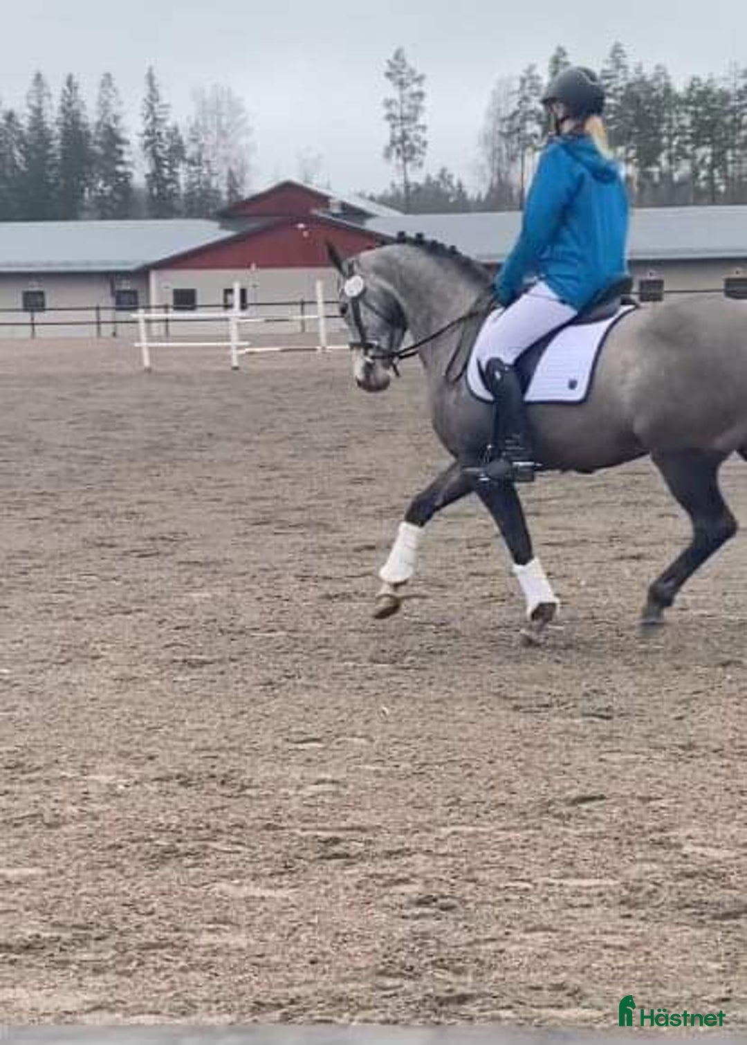  hästjobb finnes: Samarbete finnes i Björklinge - Bild 4