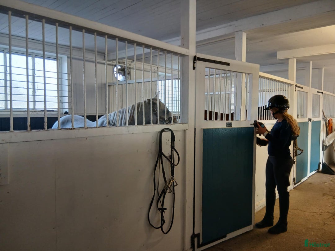  stallplats finnes: Fullskötsel nära Buss i Vallentuna - Annons 2