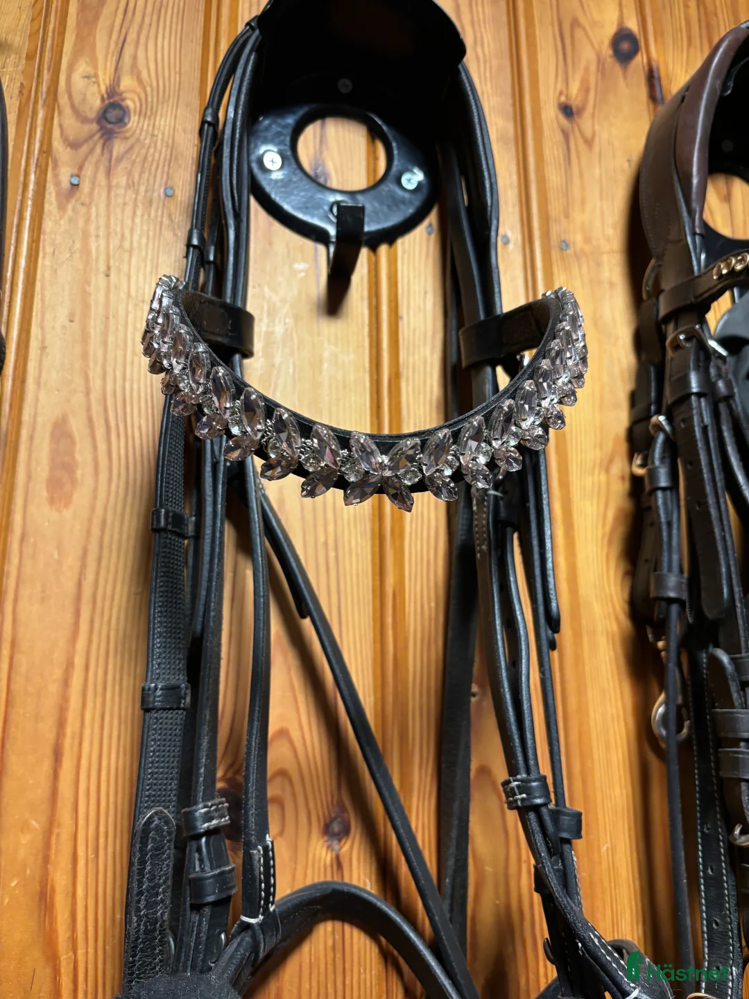 Träns hästutrustning till salu: Pannband,  - Annons 2