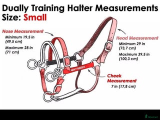 Övrig Hästutrustning hästutrustning till salu: Monty Robert’s dually i Väddö - Annons 1