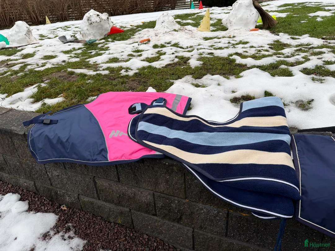 Övrig Hästutrustning hästutrustning till salu: Blandad utrustning till ponny/cob i Linköping - Annons 5