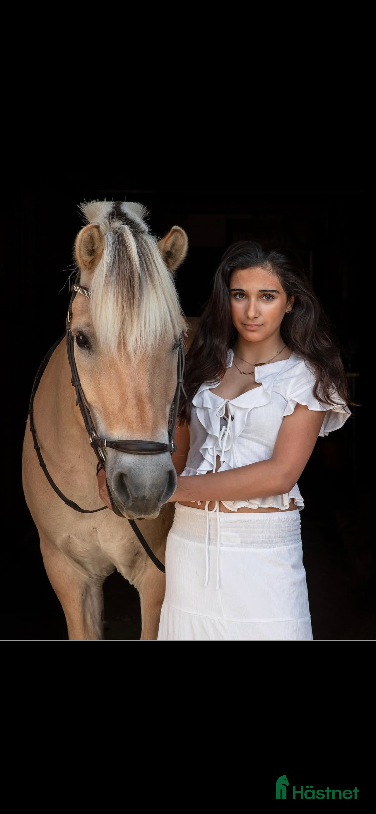  foderhäst Söker foder/medryttarhäst eller egen i Skärholmen - Annons 1