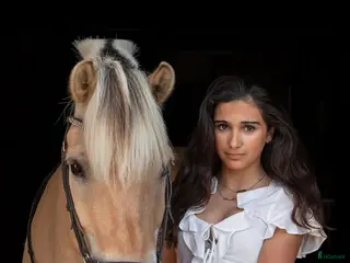 foderhäst Söker foder/medryttarhäst eller egen i Skärholmen - Annons 1