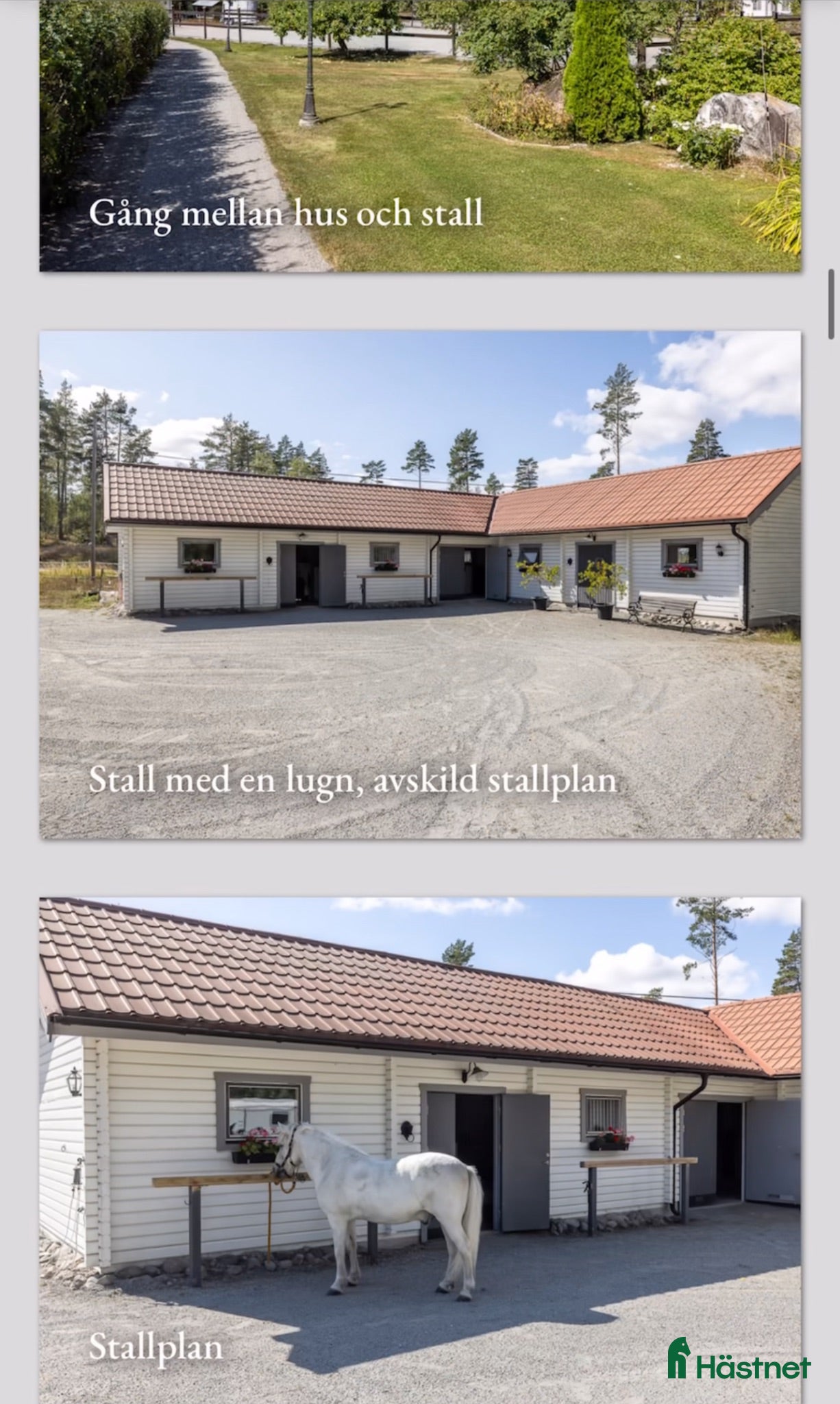  stallplats Stallplatser eller plats på lösdrift finns - Annons 19