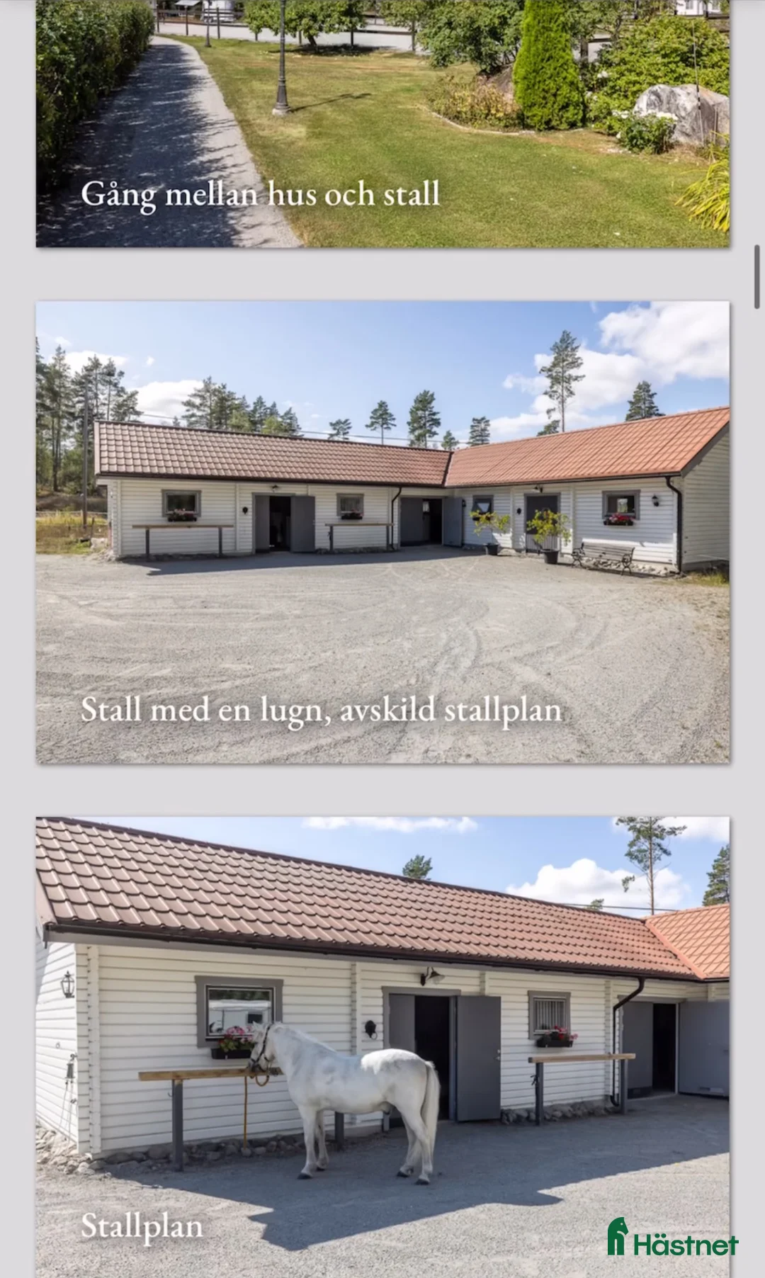  stallplats finnes: Stallplatser eller plats på lösdrift finns - Annons 1