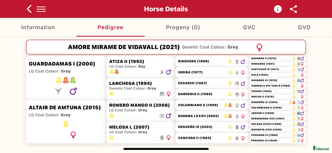 Allround hästar till salu: Vackert PRE sto i Bredared - Annons 2