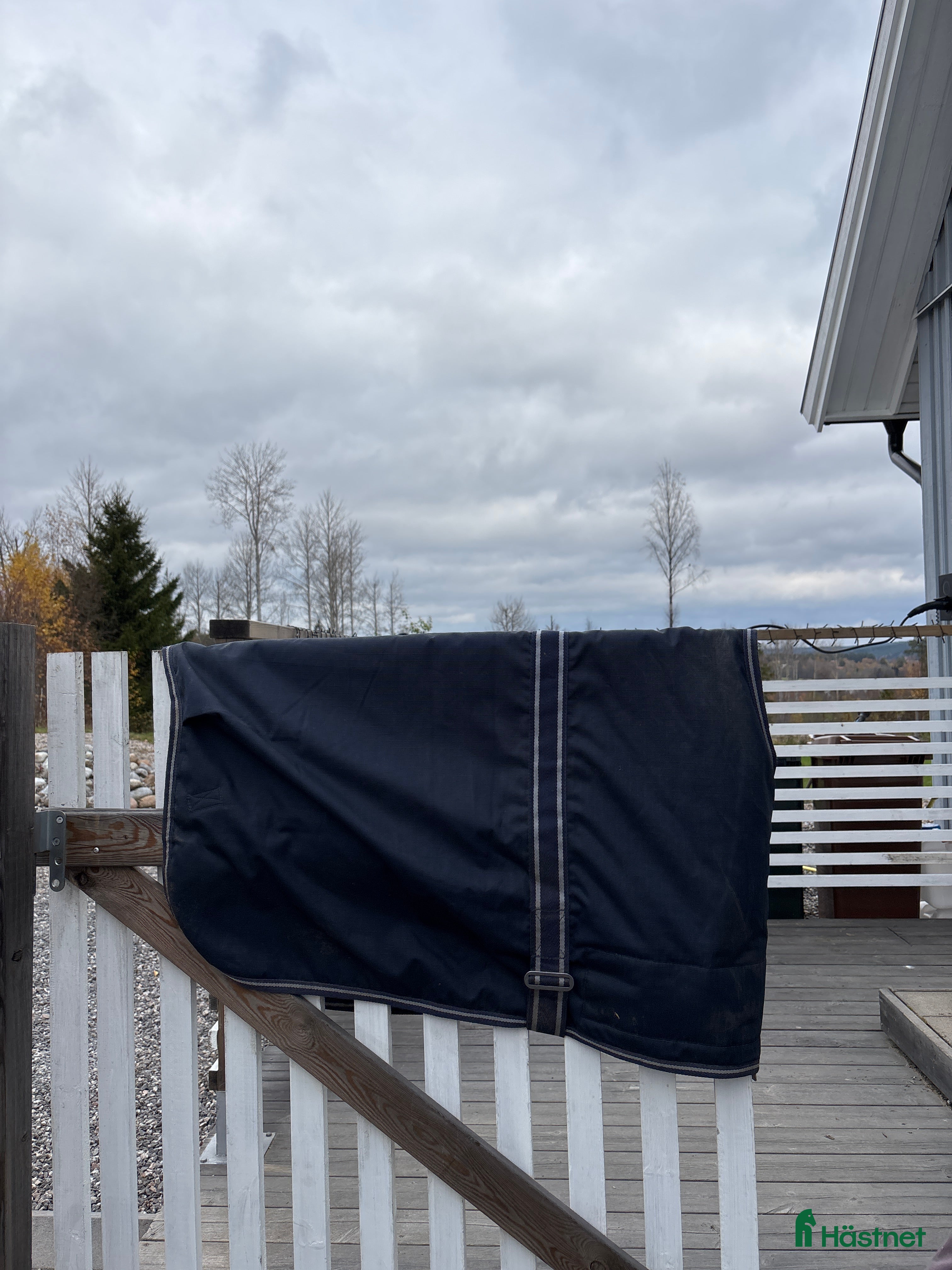 Täcken hästutrustning till salu: Föltäcke i Sundsvall - Annons 17