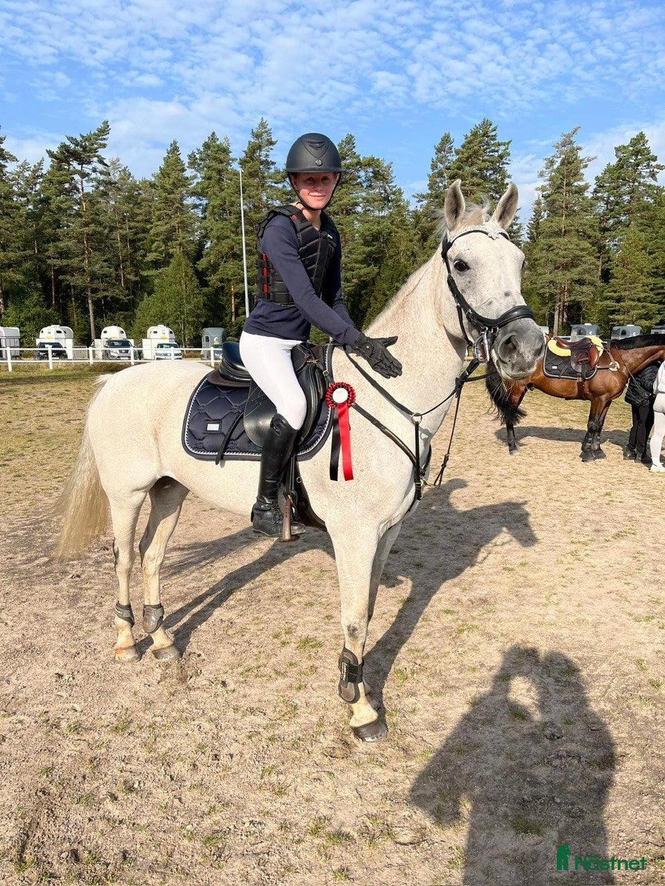  hästar Drömponnyn Vera till salu! - Annons 1