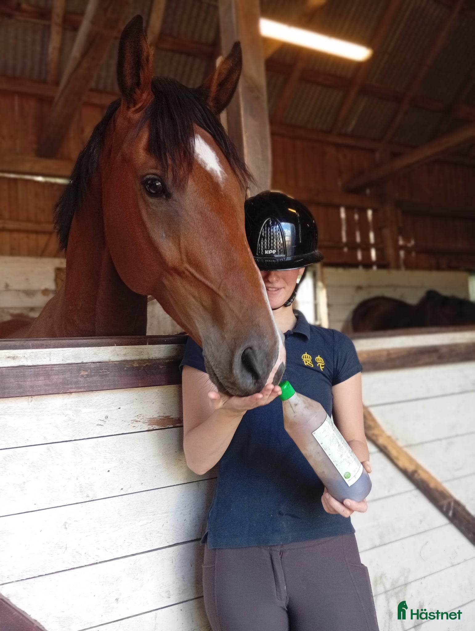  hästar Rejäl häst med stor personlighet! - Annons 1