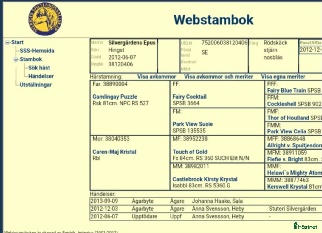 Allround hästar till salu: Trevlig mini hingst  i Sala - Annons 4