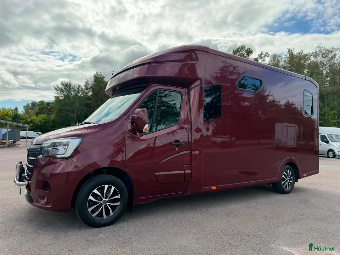 Hästlastbilar  fordon & transport till salu: PARAGAN EXCELSION 5XL STUTERI *LÅG SKATT* - Annons 2