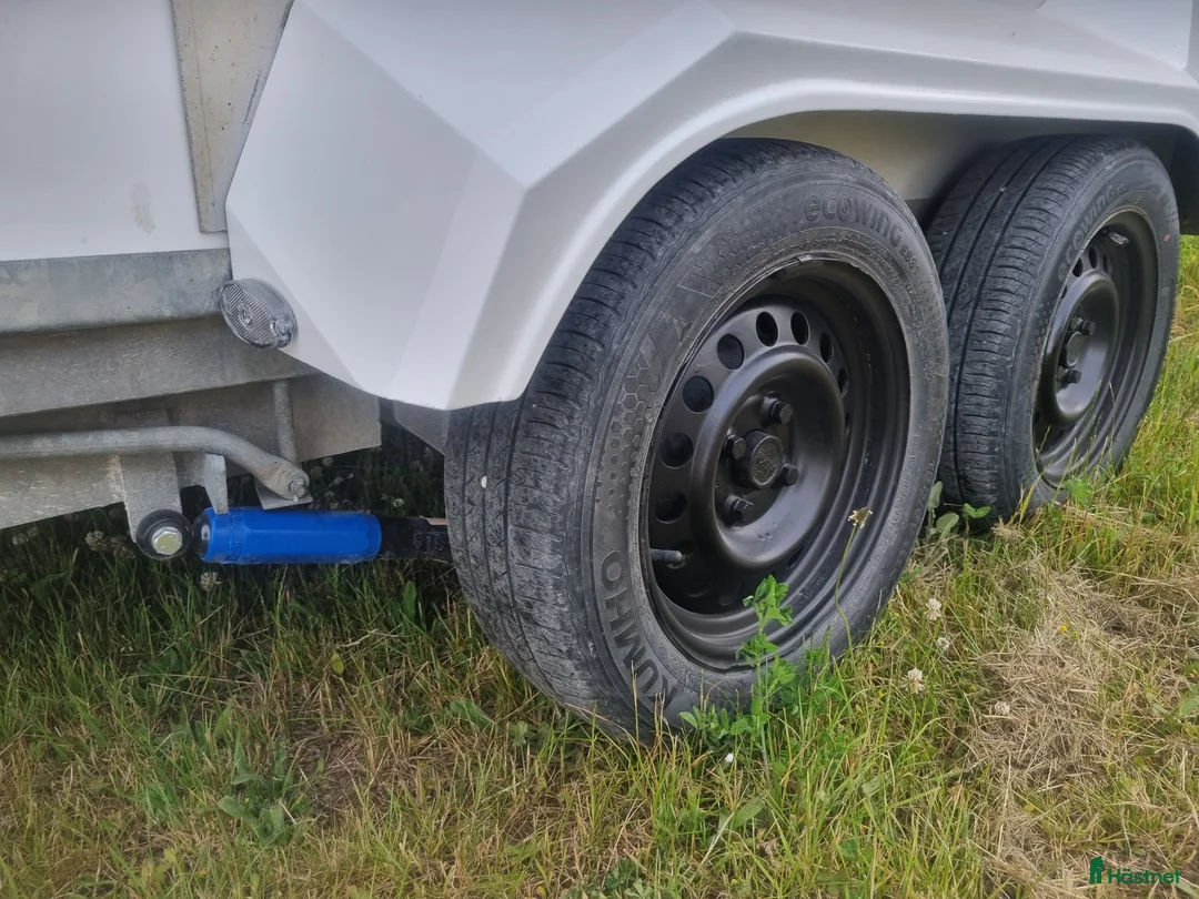 Hästtransporter  fordon & transport till salu: Ringo Star i fint skick i Romakloster - Annons 11