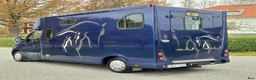 Hästlastbilar  fordon & transport till salu: Hästlastbil 5-sitsig Theault V-galler,Automat - Annons 4