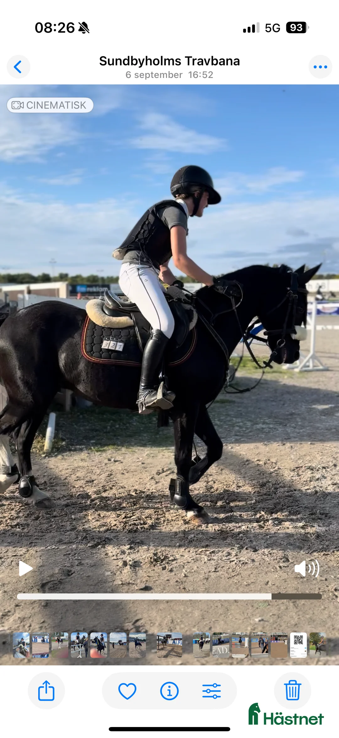 Hoppning hästar till salu: Fantastisk tävlingsponny till salu  i Älvkarleby - Annons 2