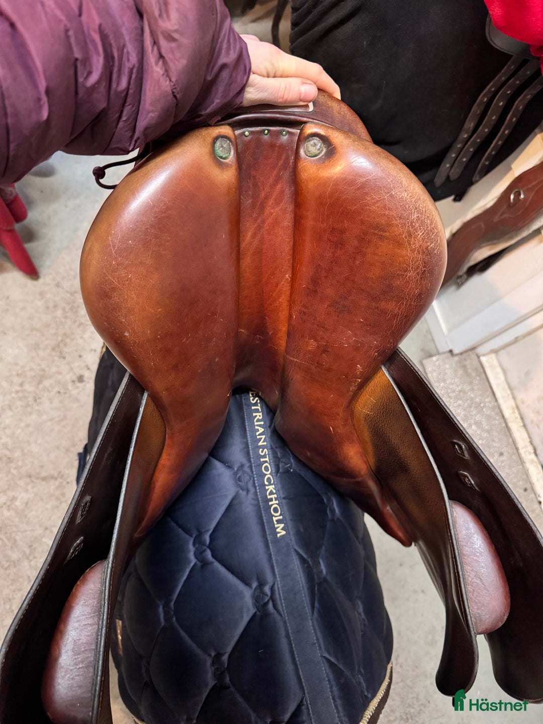 Sadlar hästutrustning till salu: Equipe grand prix i Örkelljunga - Annons 3