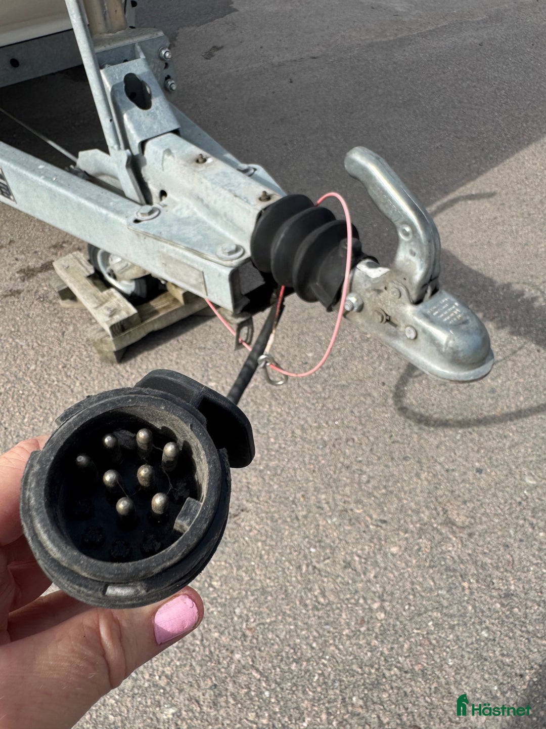 Hästtransporter  fordon & transport till salu: Rymlig och stabil Christ Mega Coral i Västerås - Bild 7