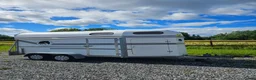 Hästtransporter  fordon & transport till salu: Superfräch Boy-transport - Annons 1