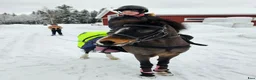 Allround hästar till salu: Världens bästa ponny! - Annons 20