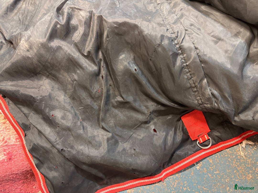 Täcken hästutrustning till salu: Nisch vinter/regntäcke i Sollerön - Annons 3