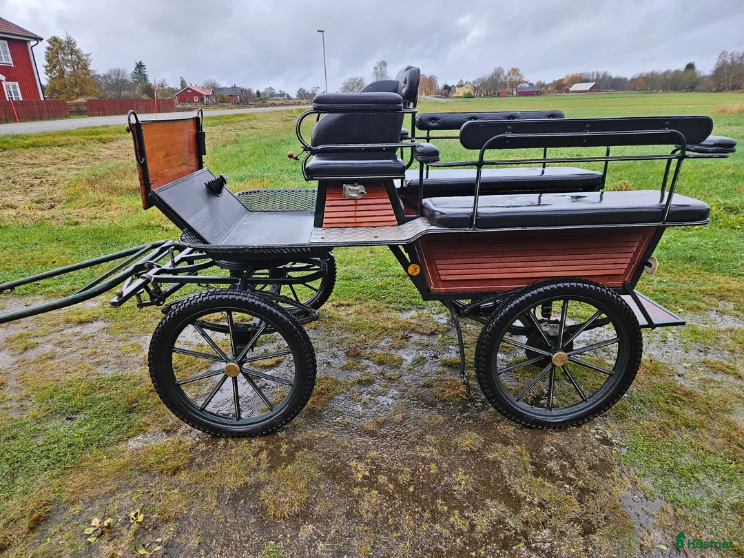 Körvagnar körning till salu: Wagonette  - Annons 1