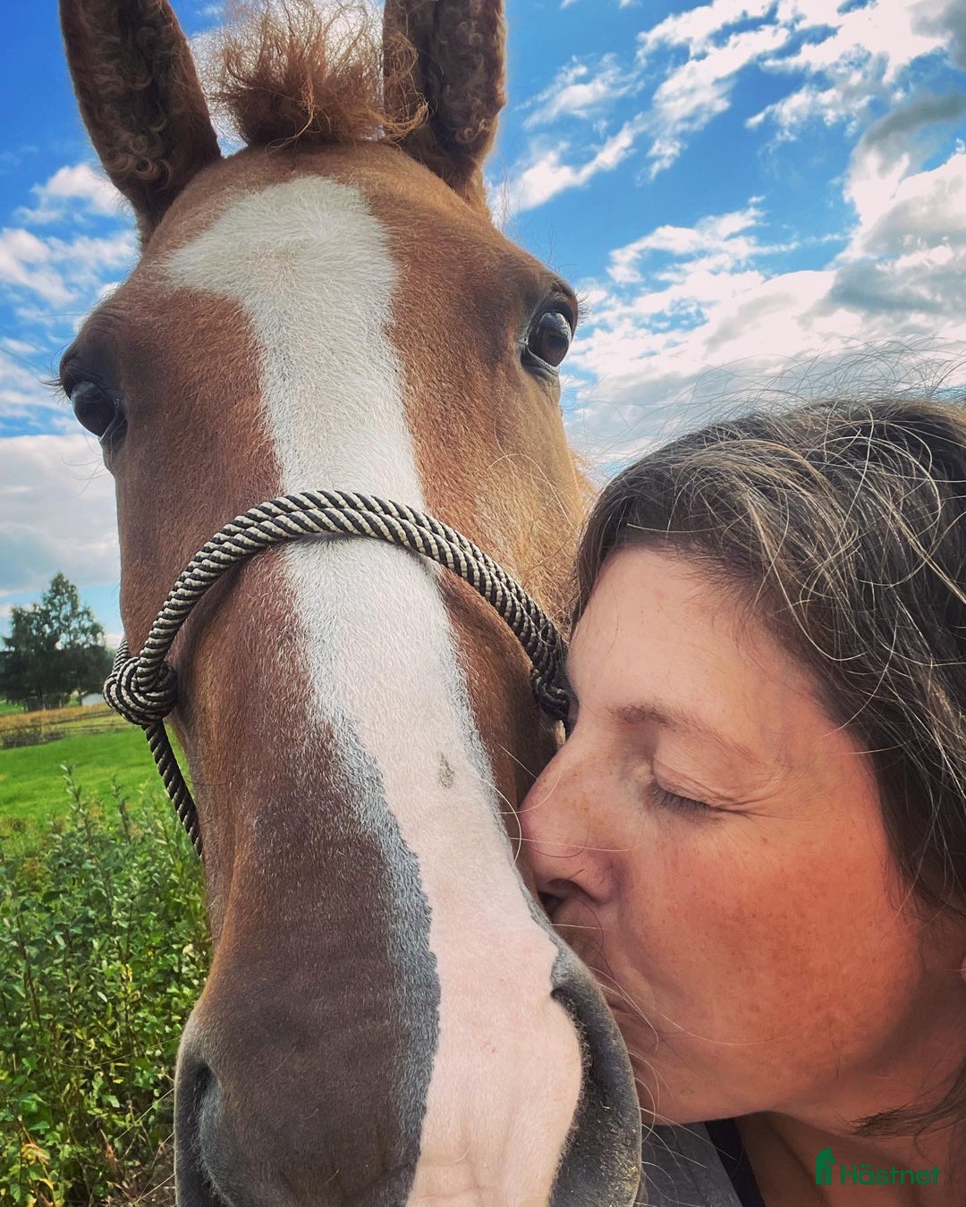 Galleribild {{count}}