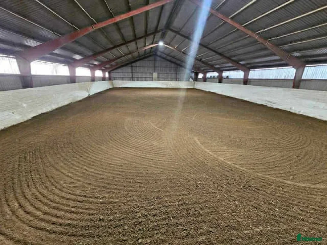  stallplats finnes: Boxplats lediga mellan Vellinge & Trelleborg - Annons 1