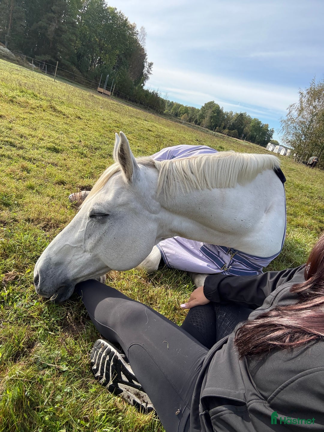  stallplats finnes: Lösdrift Grödinge i Grödinge - Annons 7