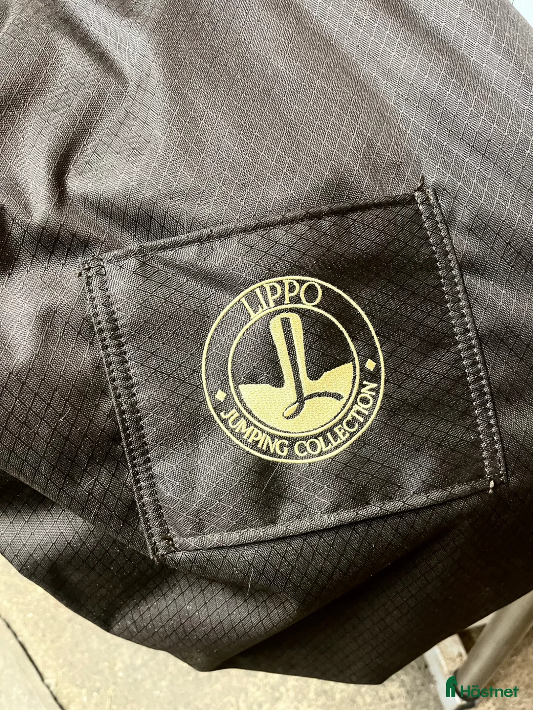 Sadlar hästutrustning till salu: Lippo Eccelente 17/FW/PT/XF  - Annons 6