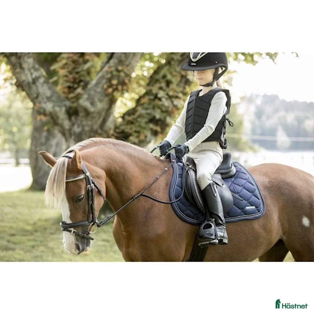 Övrig Hästutrustning hästutrustning till salu: Lippo Molly hjältygel Shetland, ponny svart - Annons 1