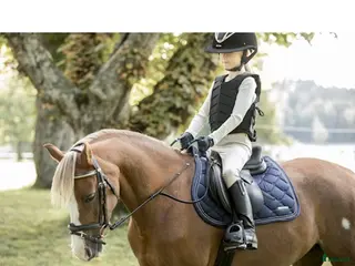 Övrig Hästutrustning hästutrustning Lippo Molly hjältygel Shetland, ponny svart - Annons 5