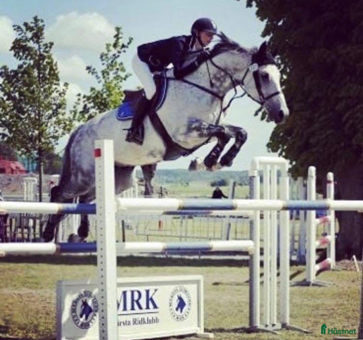  hästservice Utbildning och problemlösning  - Annons 2