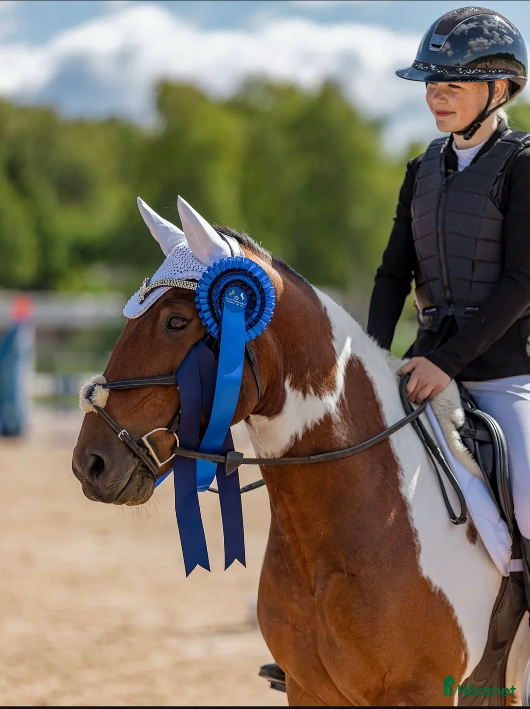 Hoppning hästar till salu: Super C-ponni lånes ut til satsende sprangrytter! - Annons 3