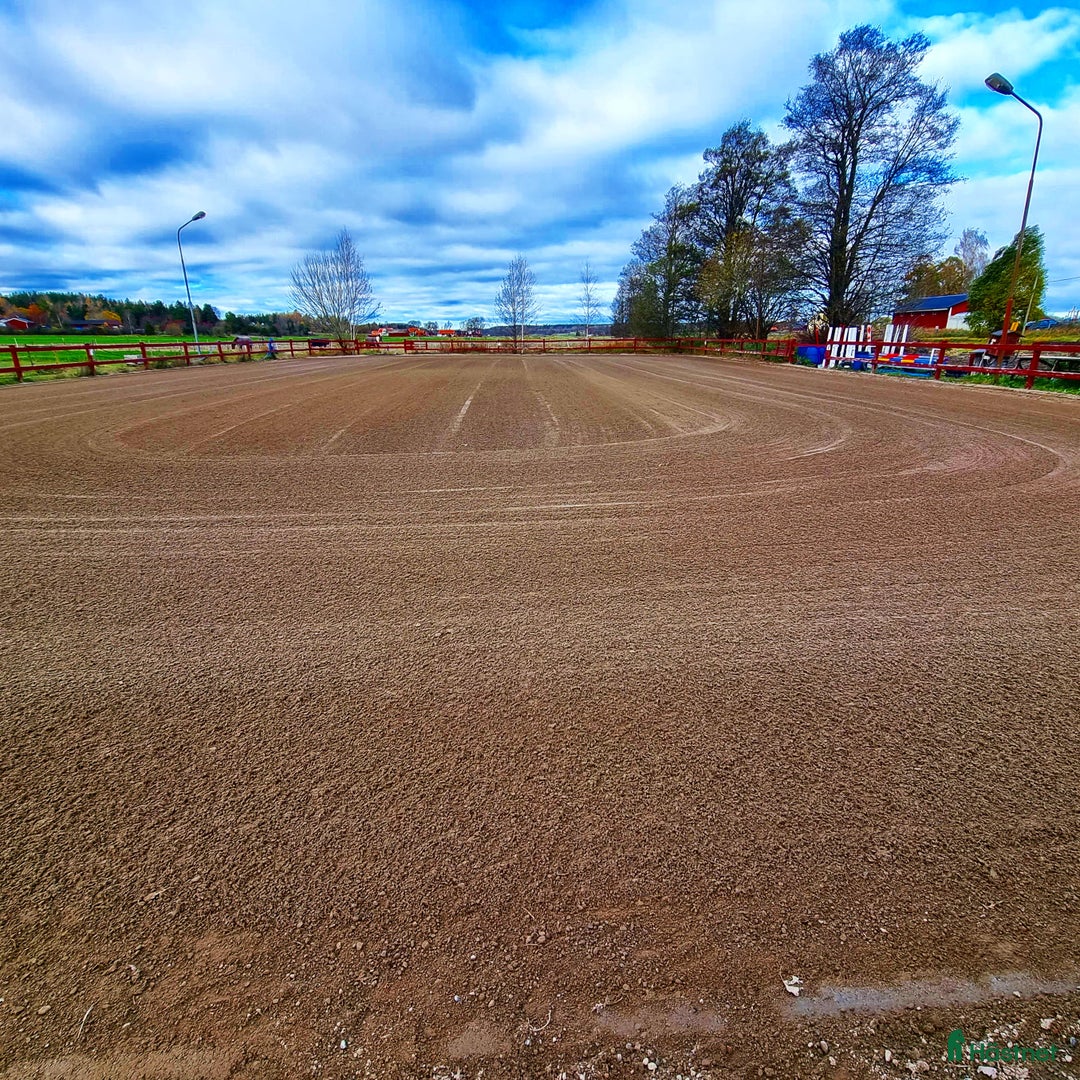  stallplats finnes: Stallplats Knivsta i Knivsta - Annons 2