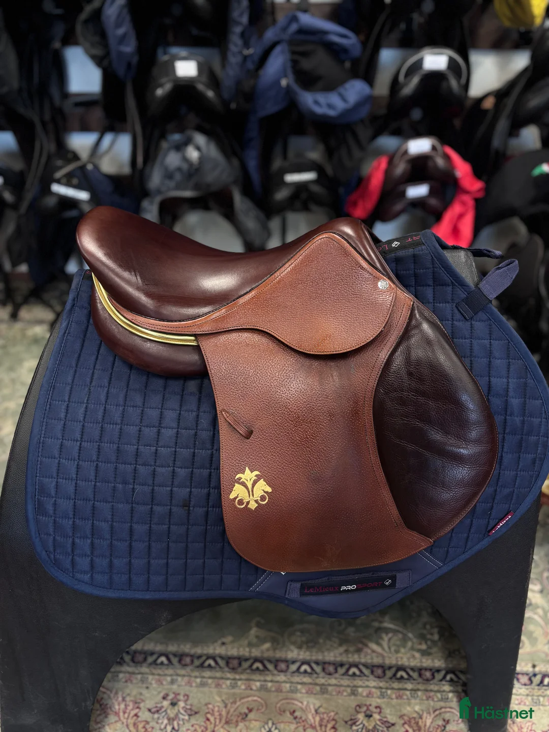 Sadlar hästutrustning till salu: Pompadour 17" - Annons 2
