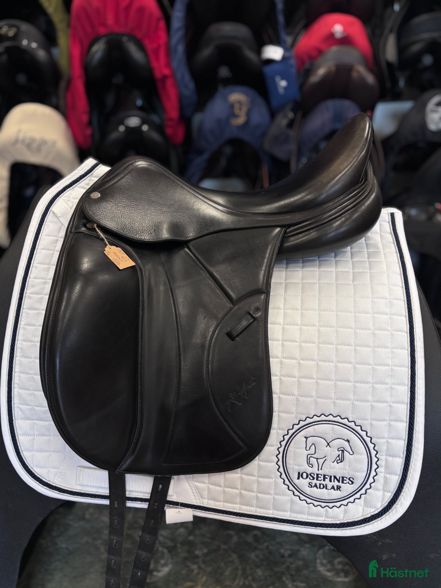 Sadlar hästutrustning Equipe Boccelli ⭐️ - Annons 7