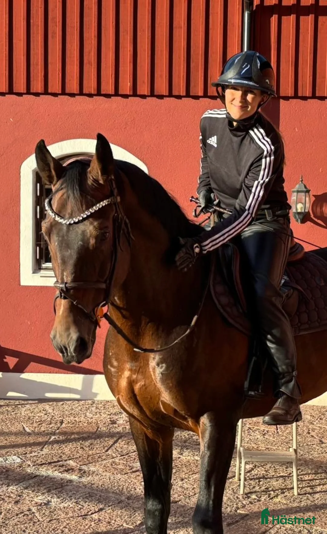  hästjobb finnes: Timmar i stall - Annons 5