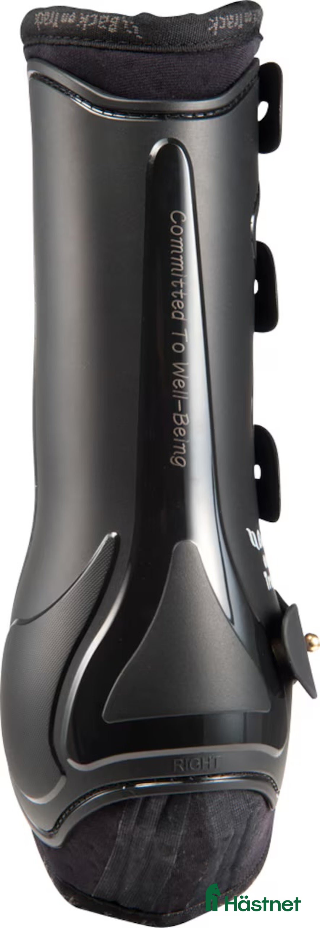 Benskydd hästutrustning till salu: Benskydd fram, Royal Back on Track FULL i Täby - Annons 2